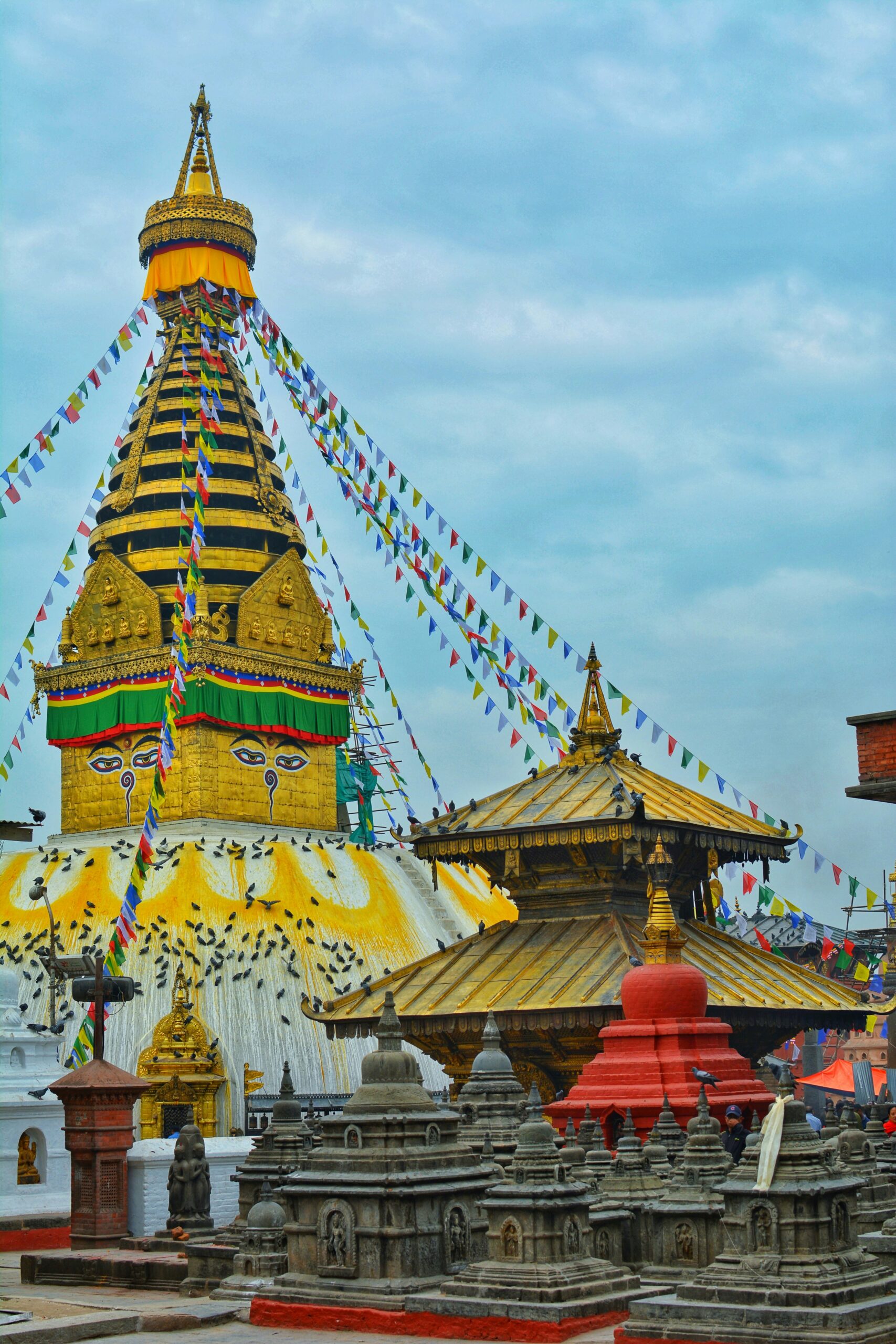 bikalpa-pokhrel-L4NA2qRqK0s-unsplash